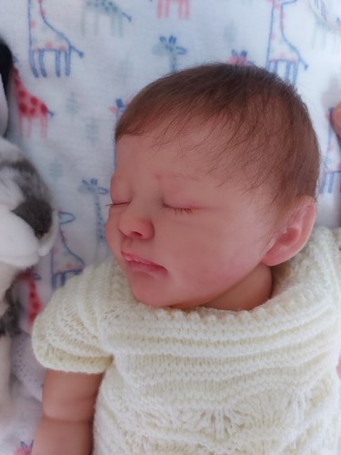 Reborn baby dallas dawn - di,