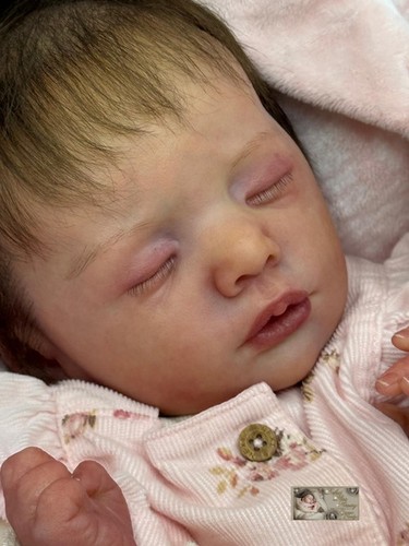 Pbn yvonne etheridge reborn - etheridge,