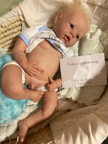Reborn boy wit - boy, certificato