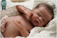 Studio-Doll GIRL reborn Odessa